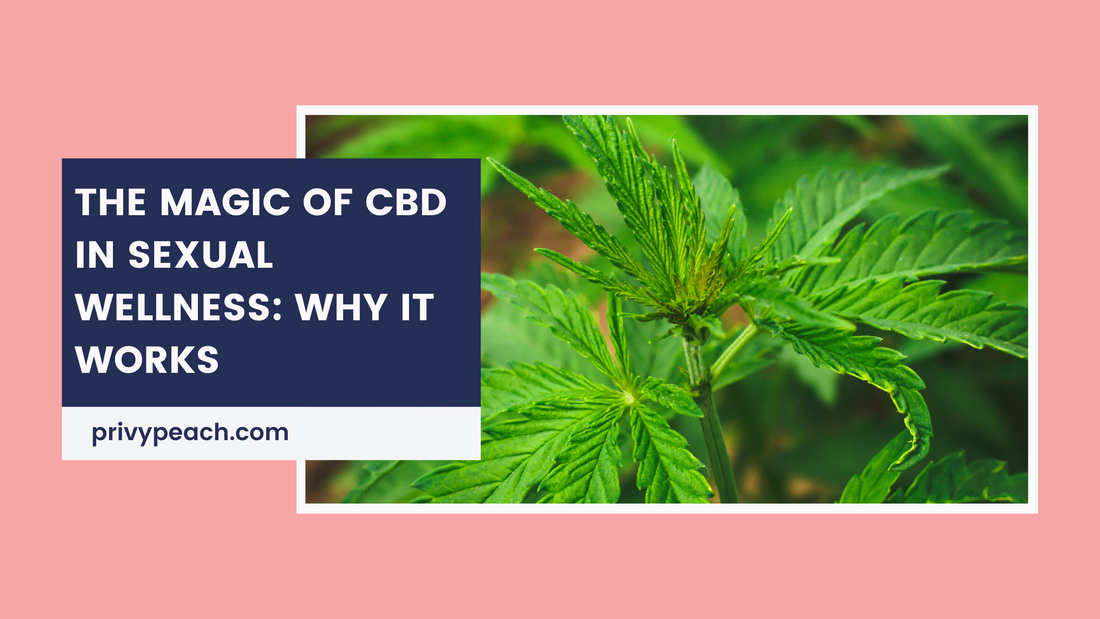 The Magic of CBD in Sexual Wellness: Why It Works